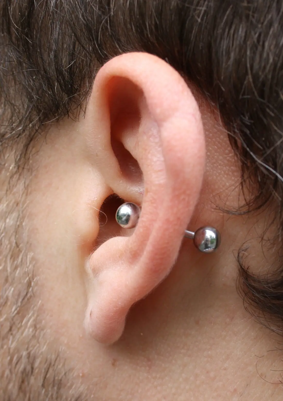 A barbell through the conch, the bowl in the middle of the ear, with a stud in the lobe below