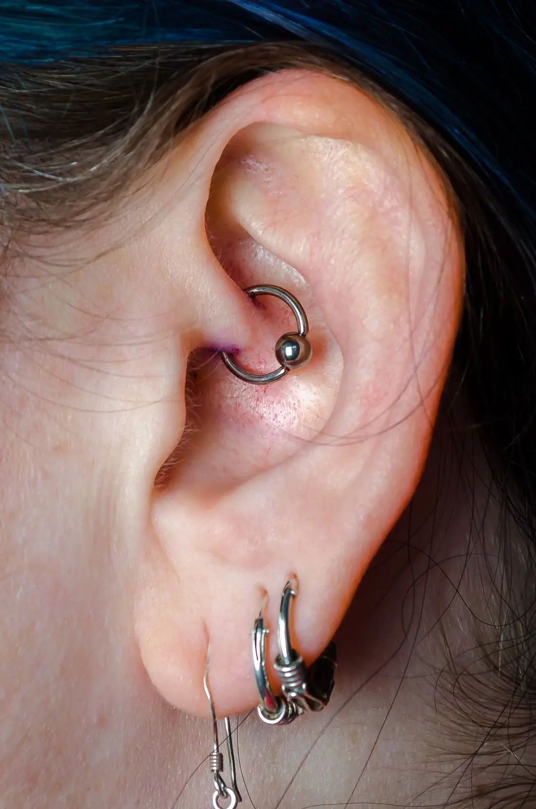 A small ring curving through the daith fold at the entrance to the ear canal