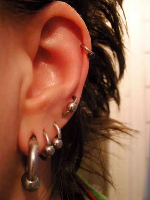 A captive bead ring passing through two holes in the lower helix rim, an orbital, with another ring higher on the helix and stretched lobes below