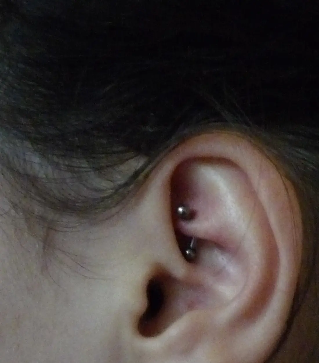 A curved barbell seated in the rook, the cartilage ridge above the inner ear, with a bead showing at each end