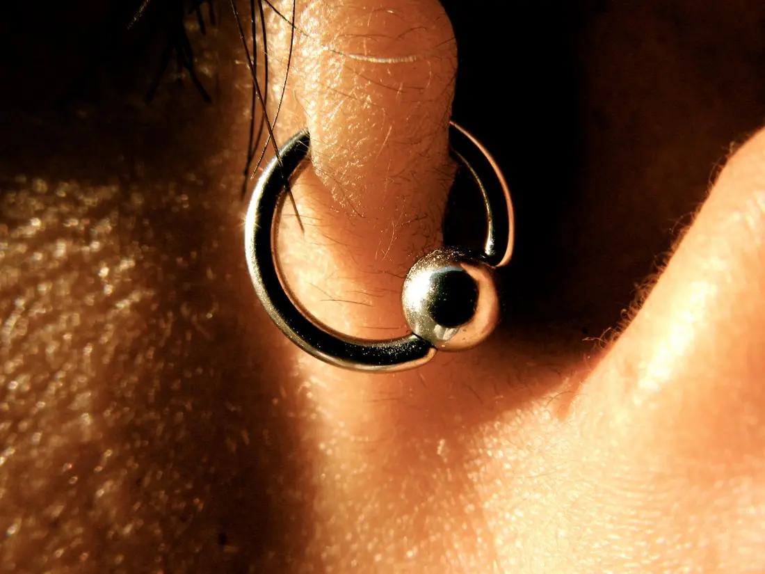 A gold ring through the tragus, the small flap of cartilage in front of the ear canal